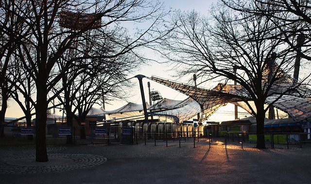 黎未来在淘 黎未来在淘