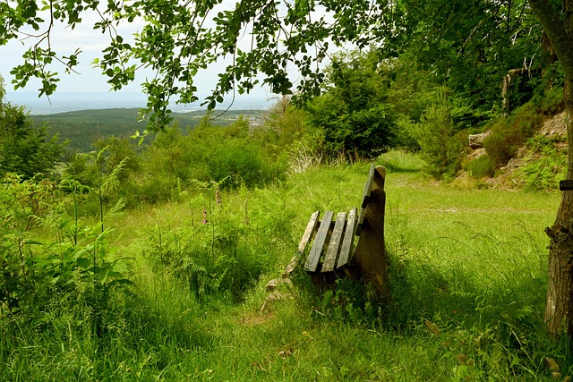 以及冰上瑜 以及冰上瑜